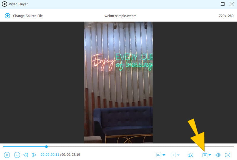 WebM in PNG Vidmore Aufnahme