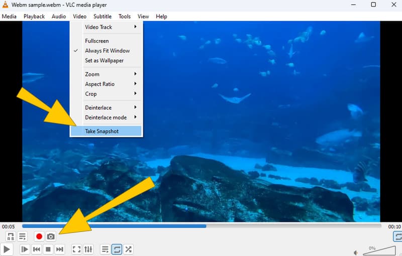 WebM in PNG VLC Aufnahme