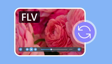 FLV Converter