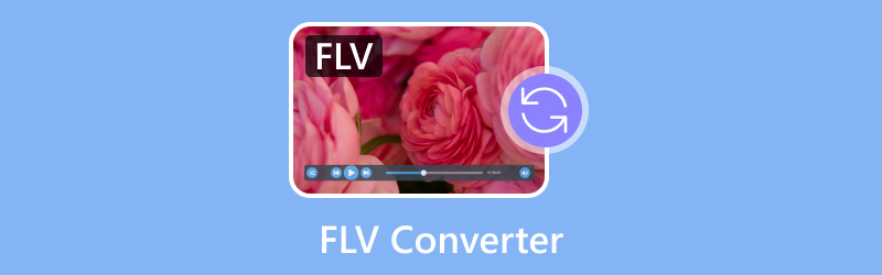 FLV Converter