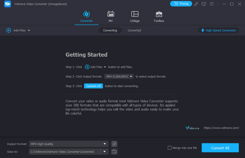 Vidmore Video Converter Oberfläche