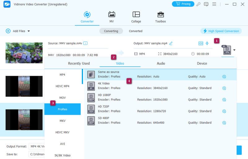 ProRes konvertieren Vidmore Einstellen