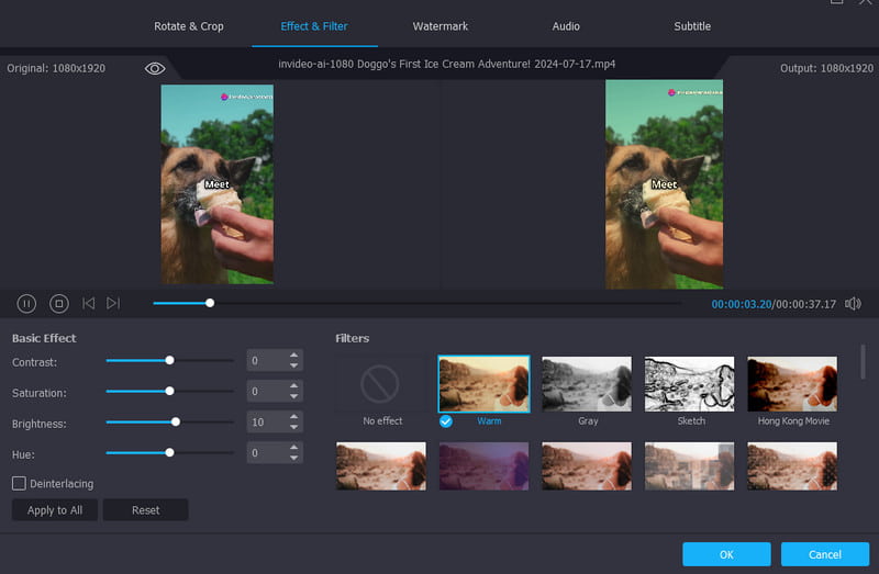 Vidmore-Editor und -Konverter