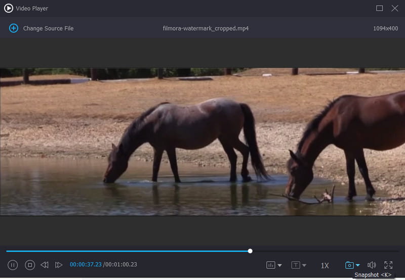 Vidmore Video Converter Konverter