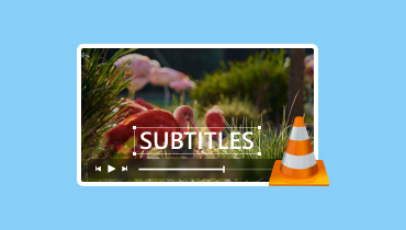 VLC Media Player Untertitel