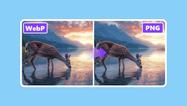 Zwischen WebP und PNG konvertieren