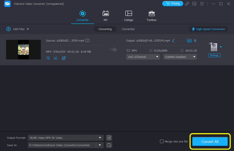 Save The Video Vidmore