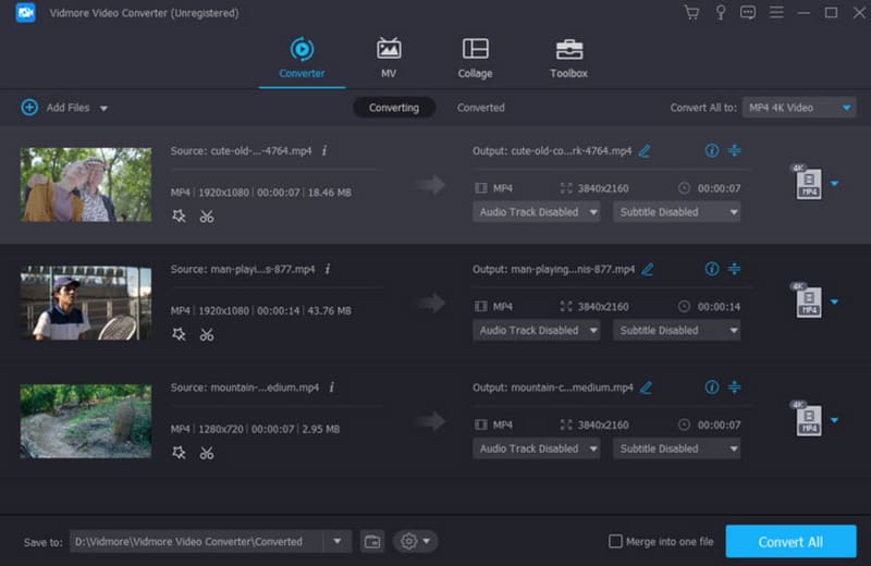 Vidmore Converter Bild