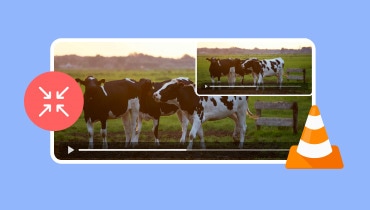 Video im VLC Media Player ein- und auszoomen