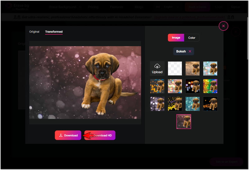 Endgültiges Bild herunterladen