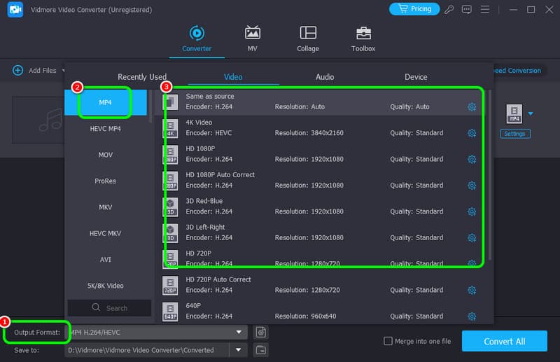 Ausgabeformate MP4 auswählen Vidmore