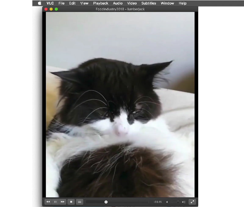 AVI-Datei abspielen VLC