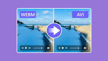 Webm in Avi