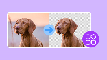 App zum Entfernen von Hintergründen