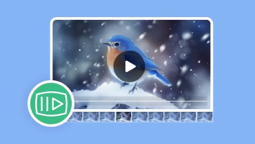 Frame-by-Frame-Video-Player