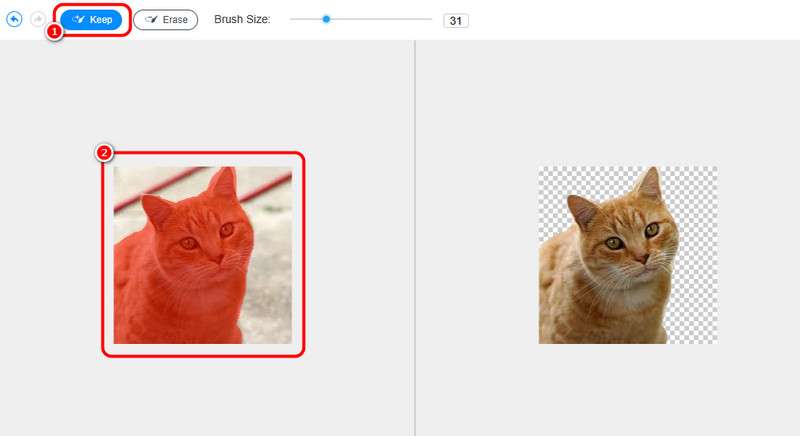 Hervorgehobenes Bild beibehalten Vidmore