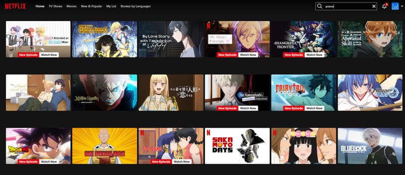 Netflix Anime-Website
