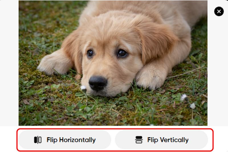 Bild spiegeln Picsart