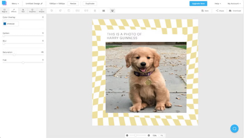 Snappa Canva-Alternative