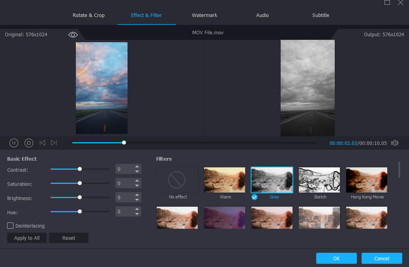 Vidmore Video Converter Canva-Alternative