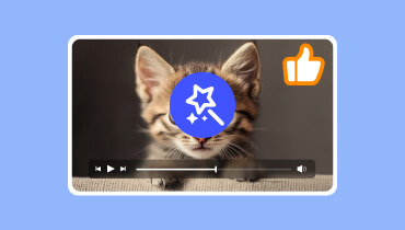 Beste Videobearbeitungssoftware