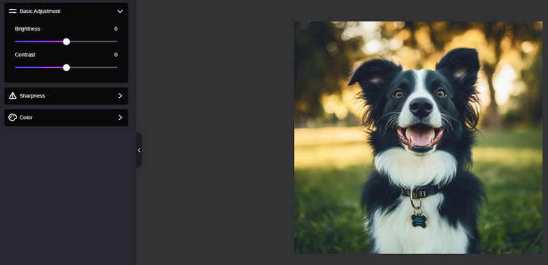 Picwand Kostenlose Bildbearbeitung für Mac