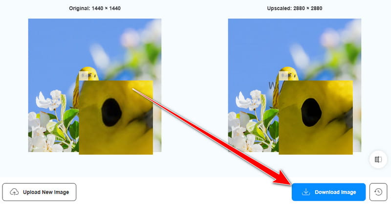Bild herunterladen Vidmore