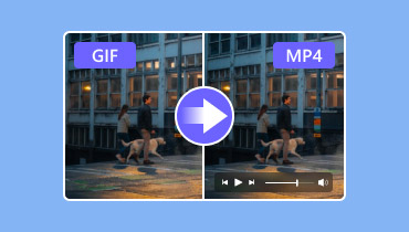 GIF in MP4 umwandeln