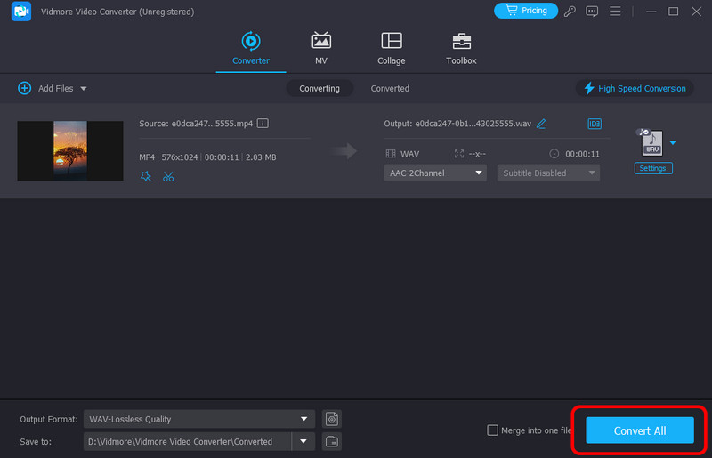 Alles konvertieren Vidmore