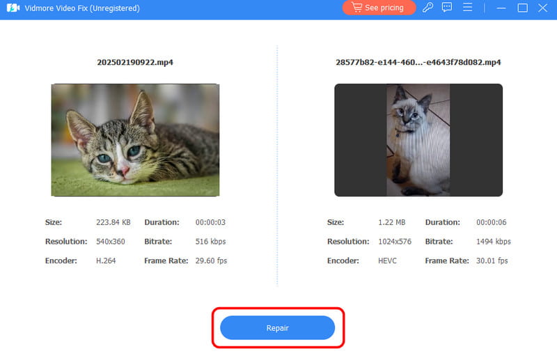 Auf die Reparieren-Schaltfläche in Vidmore klicken