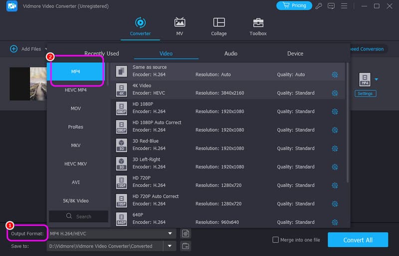 Ausgabeformat MP4-Format wählen