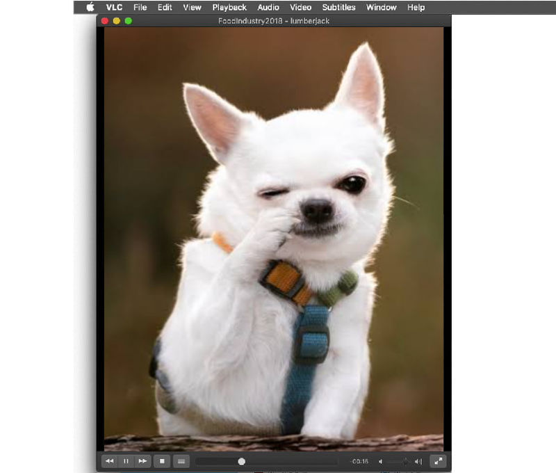 MP4‑Datei abspielen VLC