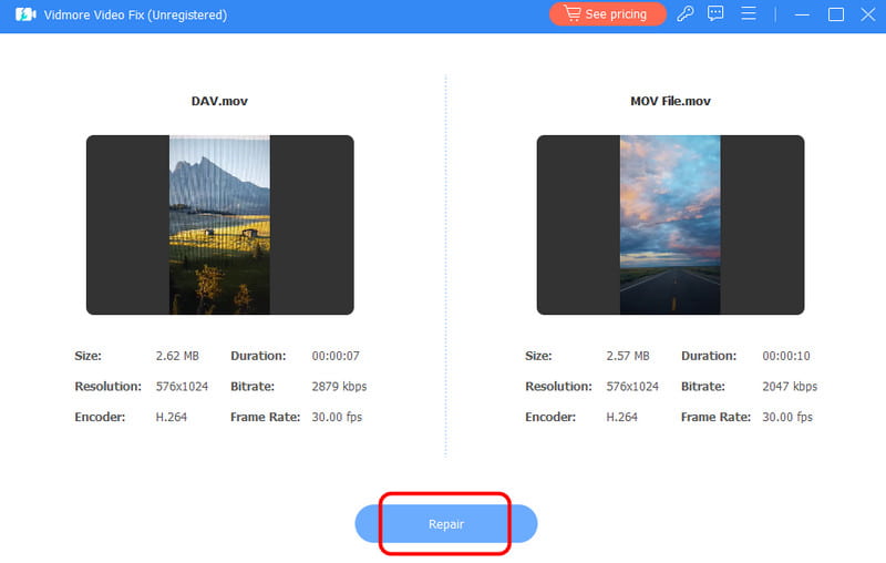 Schaltfläche „Reparieren“ – Vidmore