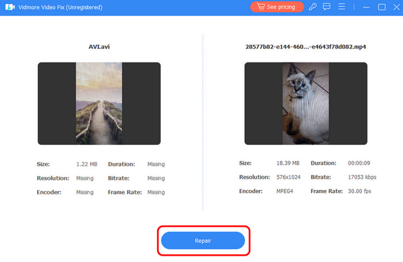 Video mit Vidmore reparieren