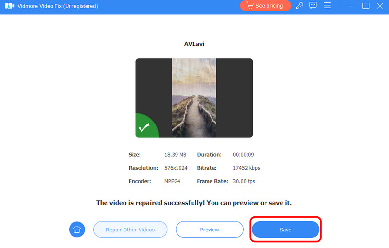 Video mit Vidmore speichern