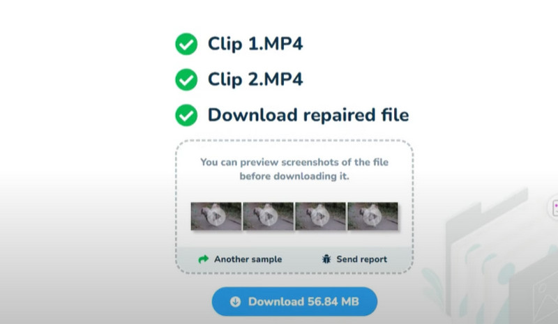 Support Batch Repair Process