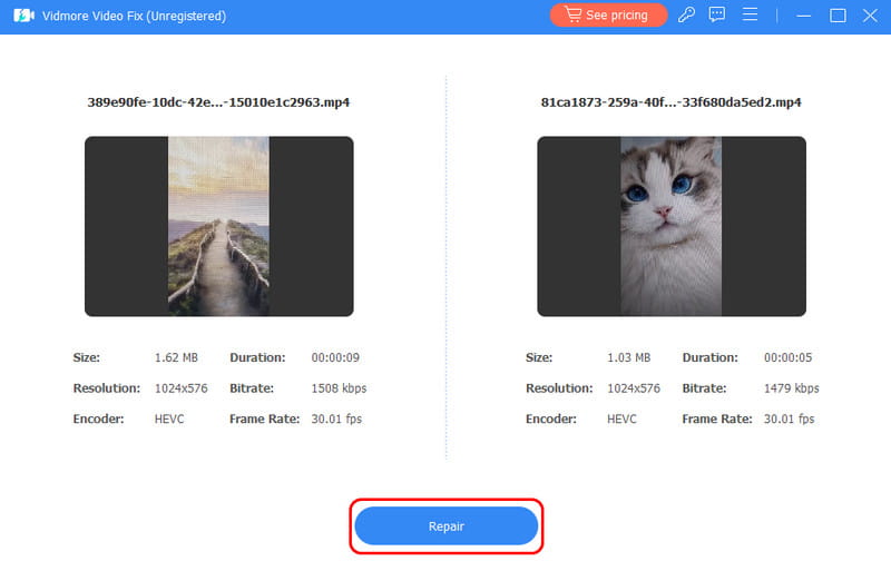 Auf Reparieren‑Schaltfläche in Vidmore tippen