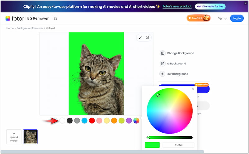 Volltonfarbe auswählen