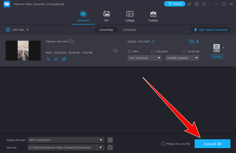 Schaltfläche „Alle konvertieren“ Vidmore