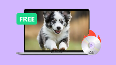 Kostenlose DVD-Brennsoftware