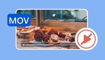 MOV-Datei wird nicht abgespielt