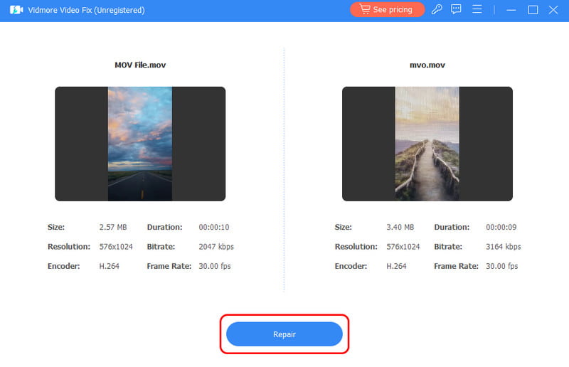 Schaltfläche „Reparieren“ Vidmore