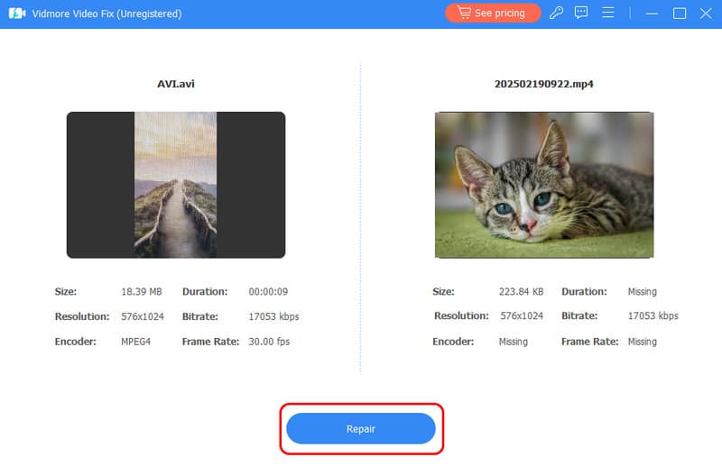Schaltfläche „Reparieren“ – Vidmore