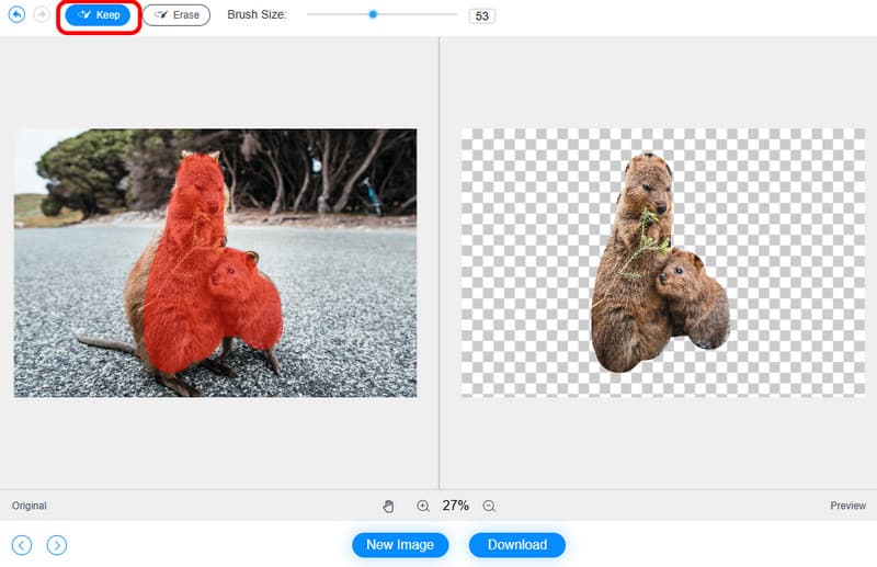 Option „Behalten“ verwenden Vidmore