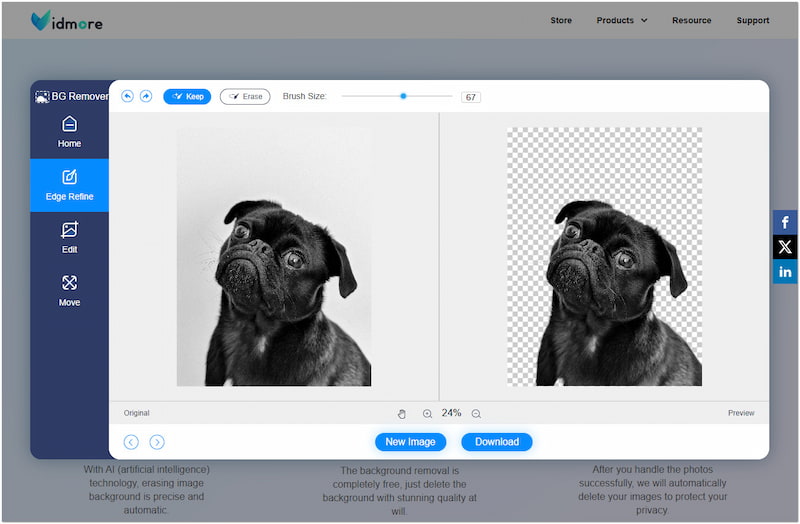 Vidmore Background Remover Online