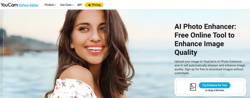 Was ist YouCam Online Editor