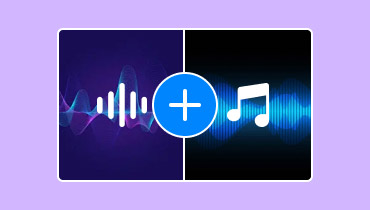 Audio-Zusammenführer