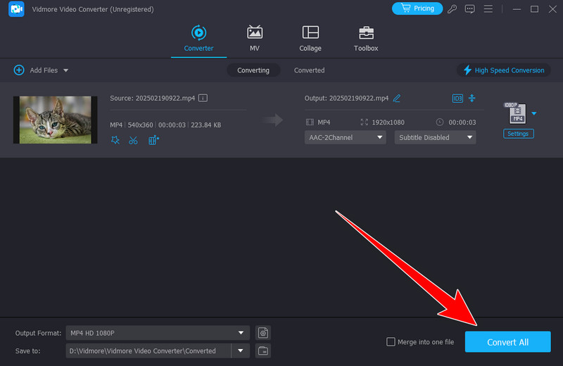 Convert All Button Vidmore