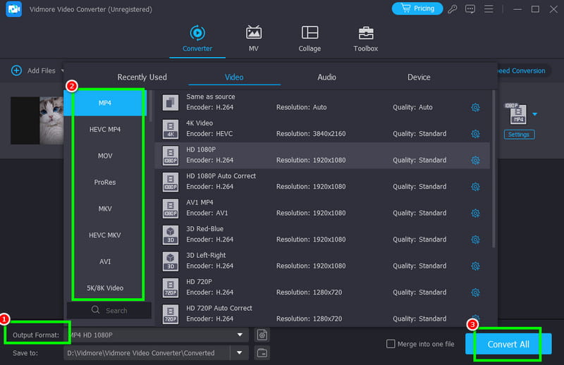 Video mit Vidmore konvertieren und speichern
