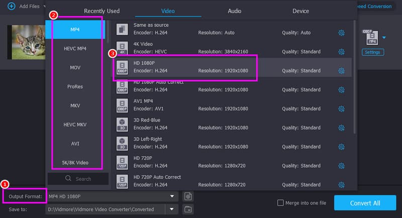 Ausgabeformat-Auflösung Vidmore